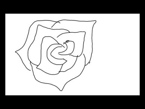 cara menggambar bunga mawar